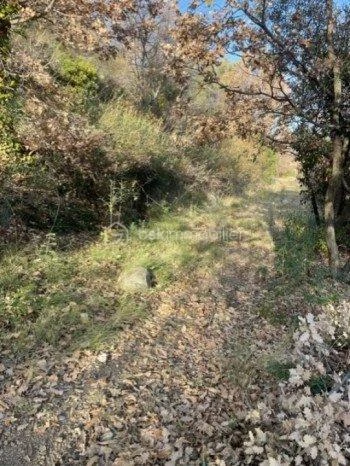 9tdIqtHzBQM0le7H07iJ1qGRi8g6XO4cUIRljZbS.jpg