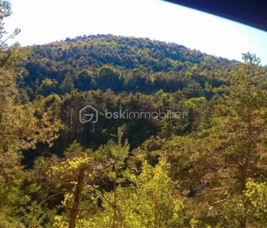 VYKKHrXp4SAdxE5QK29qaLWYHh7u3Pvz87kjruan.jpg