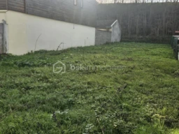 aAGRNSRwLar3ttvjOelUrsoRfvm1skhoZ9HuoBef.jpg