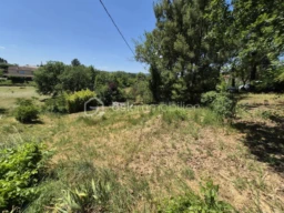 9gT52P1yTRmXfHegnuPQ0i6WaftDSo0F76DWX2bn.jpg