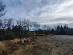 OQtQktSjckVZq1teU1pQ9F5wqUkK371yRJAahmBV.jpg