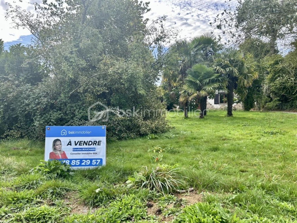 RZTdNdHUqx7VFq0DdnDjlyHk5fIDg2W8pnESKu8r.jpg