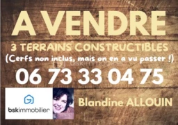 oCjWUXXMlQYMf7DqXlEQoZqExzDvsoHlwbXNmpE3.png
