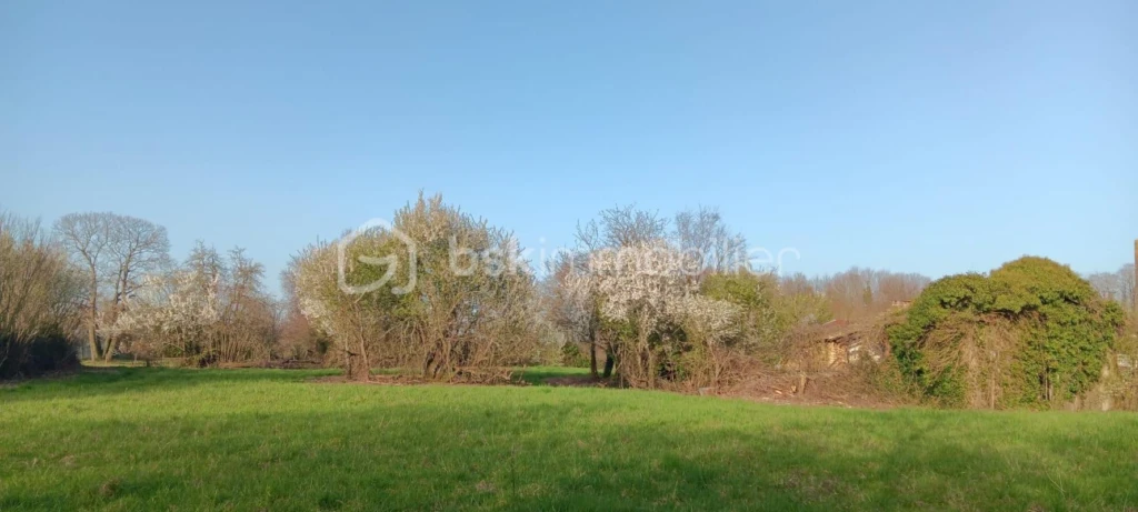 tGLW2UDgULjNl4PjFNiZW4T3SY7odOojoKCPiJKn.jpg