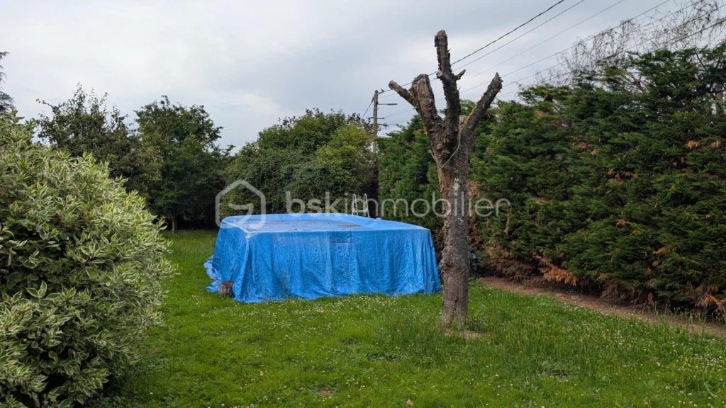 QsNeggt1AMqrMjhYNZB4HzL6jwEJVOmV8rA5Y9xf.jpg