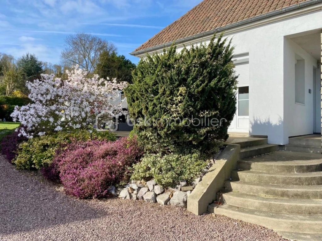 CyVaQ6BNyXa5jlVGUzDPeAVvzc8KInICENSG1oLS.jpg