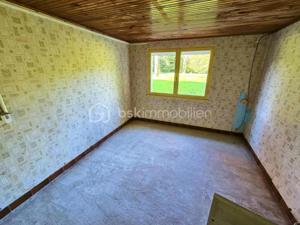 EFpYF9FST2uTVWCv2LNUlDf2mhNYvaINNeZUrJuR.jpg