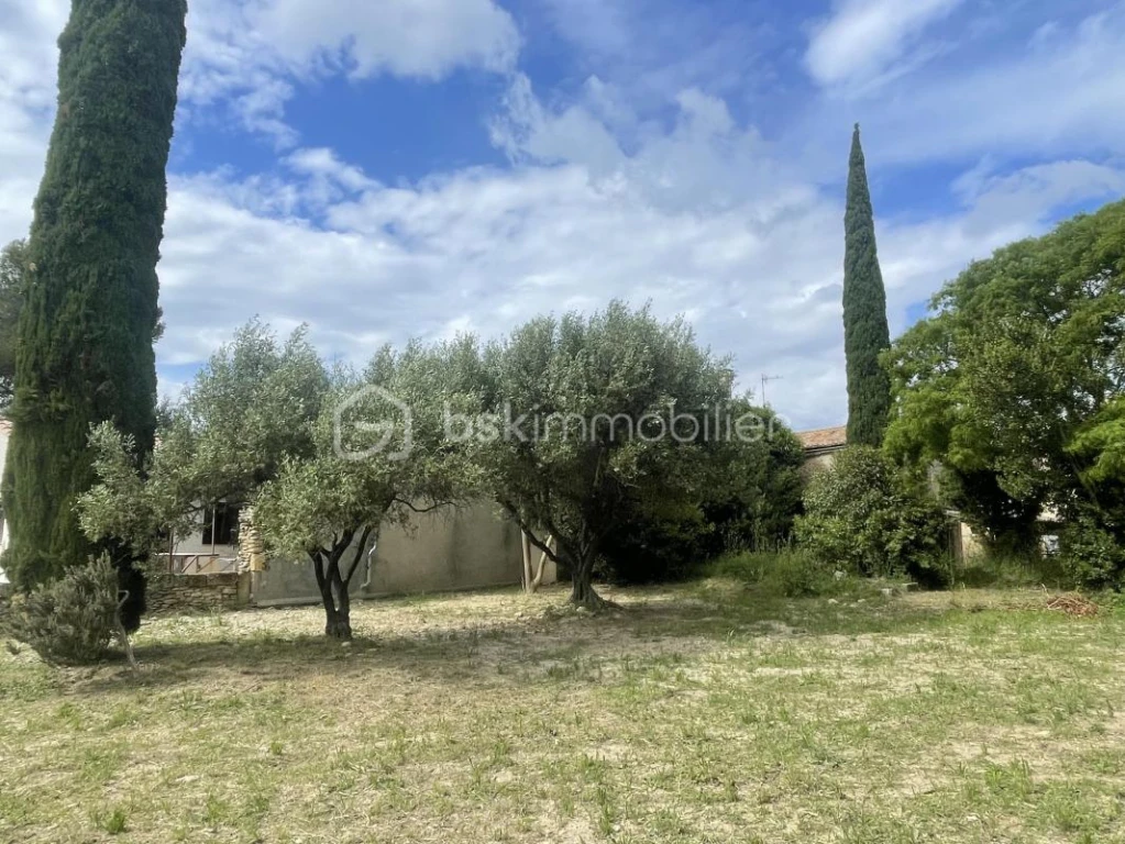 cNfiDn82erUxqILrolBN8JsECd2QCTA633mytmSd.jpg