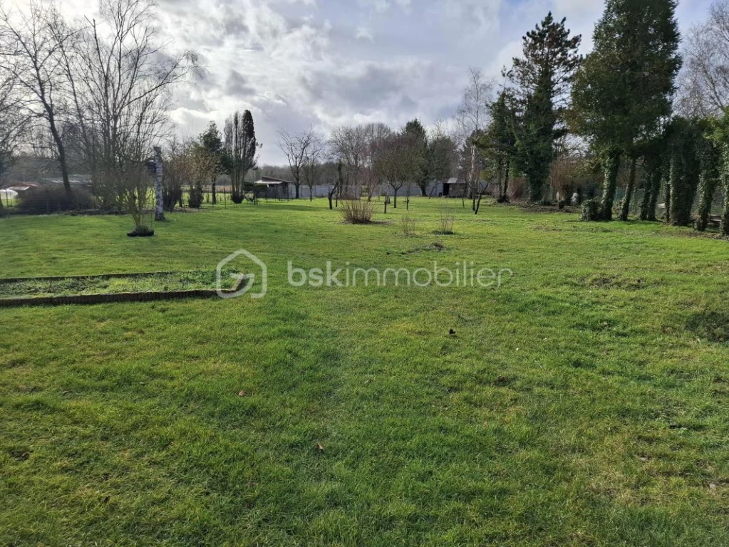 1jXbK7m27kbtrFog5P75DiMNN8qO58QihMeUxSeU.jpg