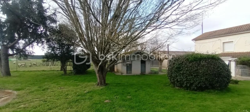 folBbcmoohOHmkVDD0nlpg6t18HO77qVRuPEBMZ4.jpg