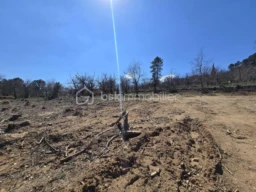 ISIlz0vdUrnwPuOoP9C6ewZQdBybRrJlPNVuyKnF.jpg