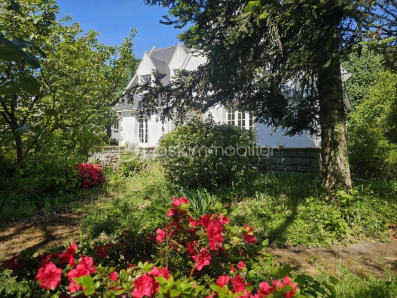 3u2w230NwAnlowDUgOKuJkkNvrMVoPeq3kRJC2qz.png