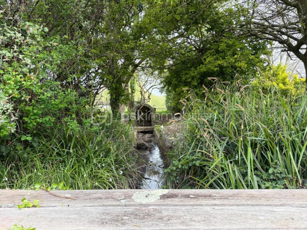 S0gkgXBUxm62oXmI3qos0AErlD7HGVoWSYrYjT1O.jpg
