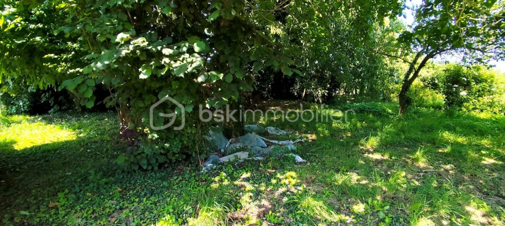 xdB60PN9n3rUa95tsgqRrQCPDVOckCZHy6UbOl0o.jpg