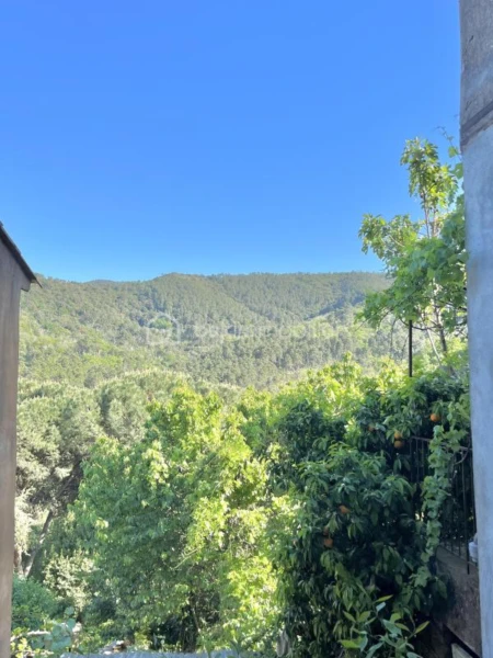 DmbCjjJ7qO7IsoISaTMEEsSxaRYCqApMoNGq3wSw.jpg