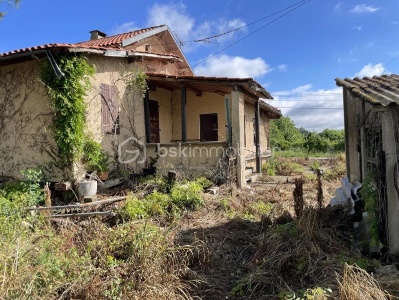 gsUdHNEA2pEH3VZknIuLktWBirCjk68Z4AMNP3Nj.jpg