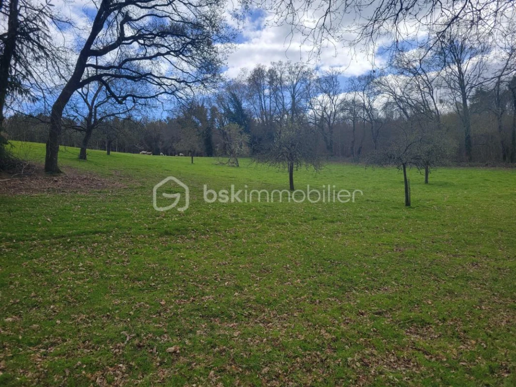 pBPdWNup4GrBh3Ew17ubqu6JGQqIjCq3hLqQZ62L.jpg
