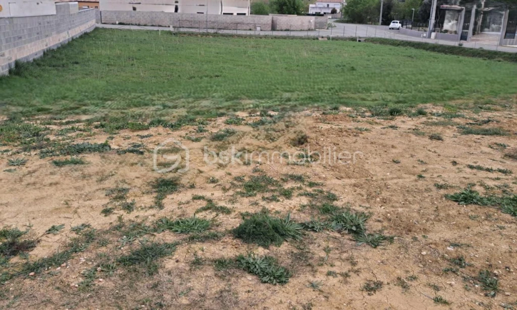 EV80EfLWcPX1lBzsKhlMrbsmePTJc7eFxXIlAO38.jpg