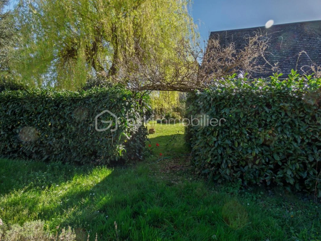 s9JjGfzS6LihN1M9VJl7x513MM2hmezBFGTSAwNb.jpg