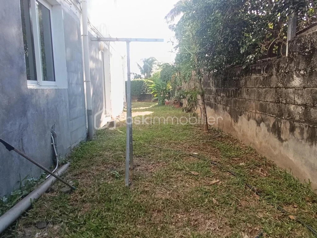 kIoQ3eatO3rnTXlv5rZVSf2oWBadUIwoLWvuPiJD.jpg