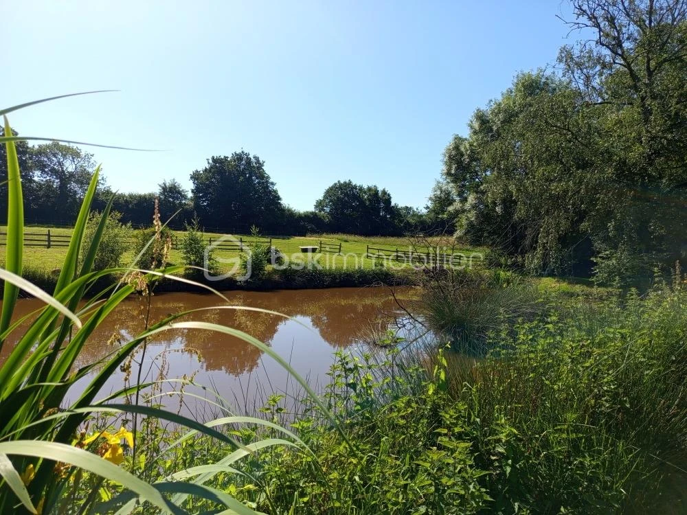 mP6rpNFsMBwspeWaxWcrCGnb7ocwItbYyVGoiqAz.jpg