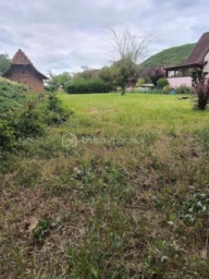 6CEPdkJQTqPXGGCNpBe4PcZoH1WV9gwxT8rBbViW.jpg