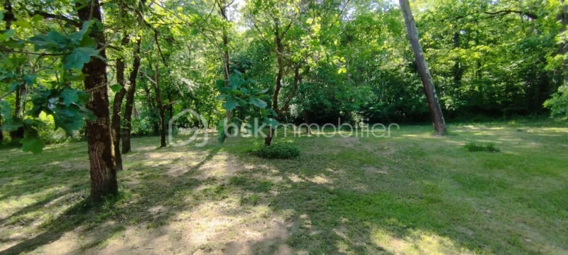 PIhzE9Y9xNFT47jSOPV932eyXhJVVTp4B0XLsMEC.jpg