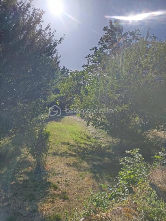 sAulNqbcIhufXB8y0zjdQn88BOUxjyPnXWzfOIxC.jpg