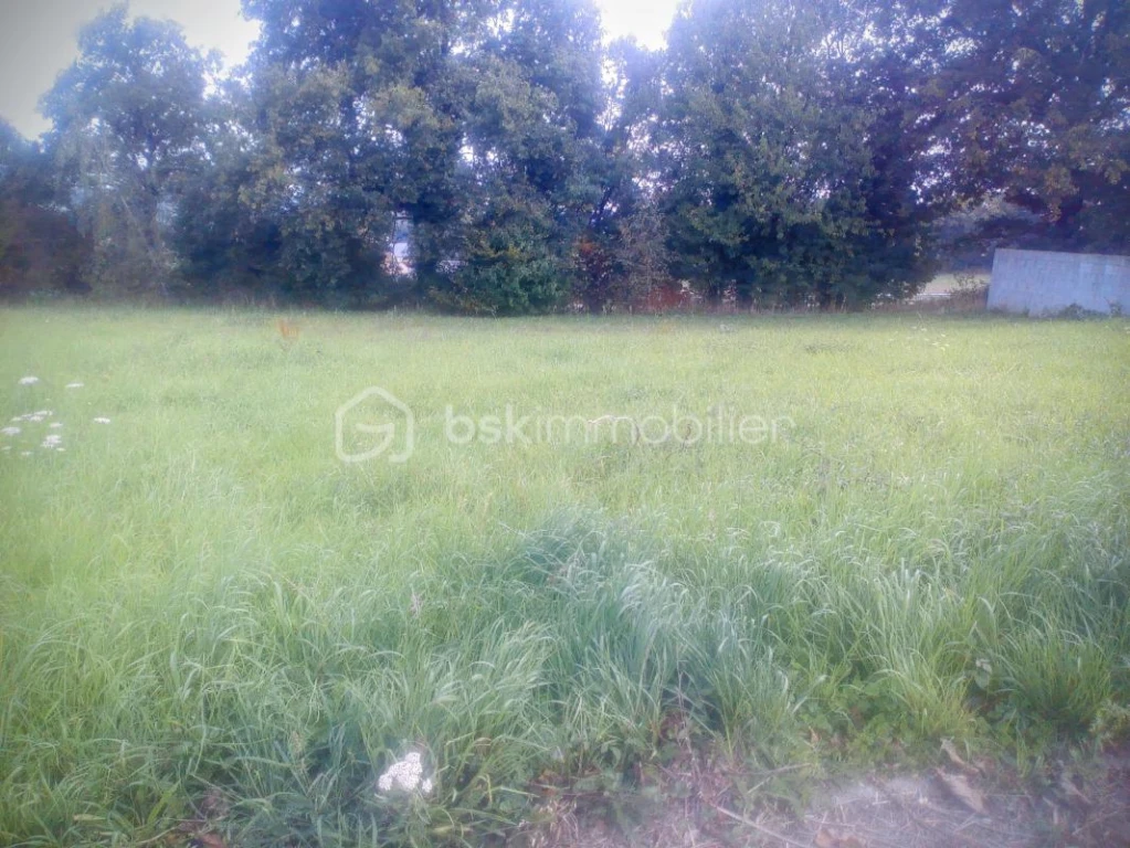 d7XJpov9YpOqBhuiXzxPMa06a3cC7AgzmsV2CXCR.jpg