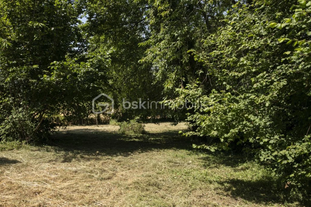 fXbYBU3JH31C2Gj1FCQeCMrggvNQV53UWcETjyI1.jpg