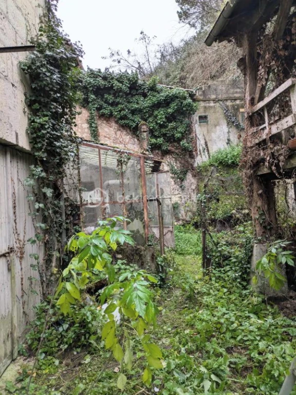 su0wQFE34UPJ2JSXeHSLlEhupLONRkjnsSOOvHcS.jpg