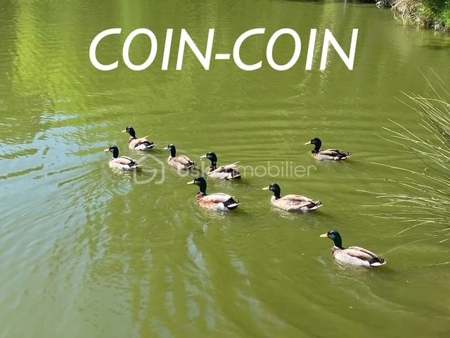 LmEoEgb8inBZ7vMNzvpXlB0GxAzZnBskaf1A0Mhm.jpg