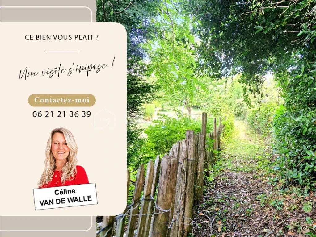 NrvXefDvszSp7lYYxBErP91fRgrOWDZqrrZYmPFO.jpg