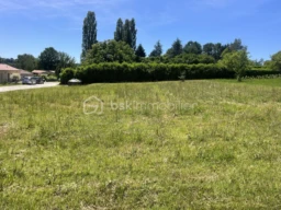 sRM2fTsSLduGGI6GbUNYhEifk81oPD345zBmQU3f.jpg