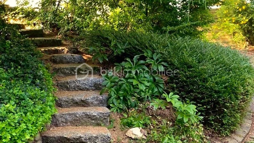 HsObgXNfwnNAKZbB1ieDDwDGkDxXB4apVz593XnW.jpg