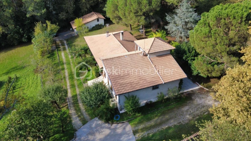 WkmgSdaAu4m7mMEs8ZxtGdT2mSLsdq3oRXbxeiEh.jpg