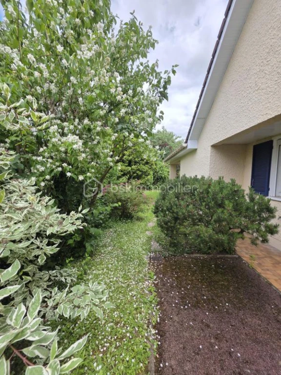 x3pXLWLtmFRrOHmPoNovLFXAlSNJMjJolJerRd9P.jpg