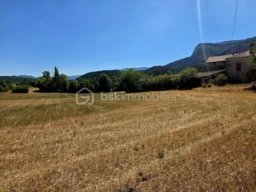 xjCP2dzgI5bKySZlikRs25b69Keh2sx5pW4PeZGr.jpg