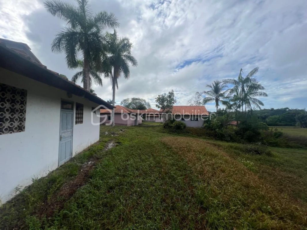 b5V5ilFf4pW3aMschQKJNAKYvUIwYQzlhtresoC2.jpg