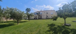 JD1cvjZyZyhP3Cn8f49WtG3MmWpBbg4waxhZ4XXH.png