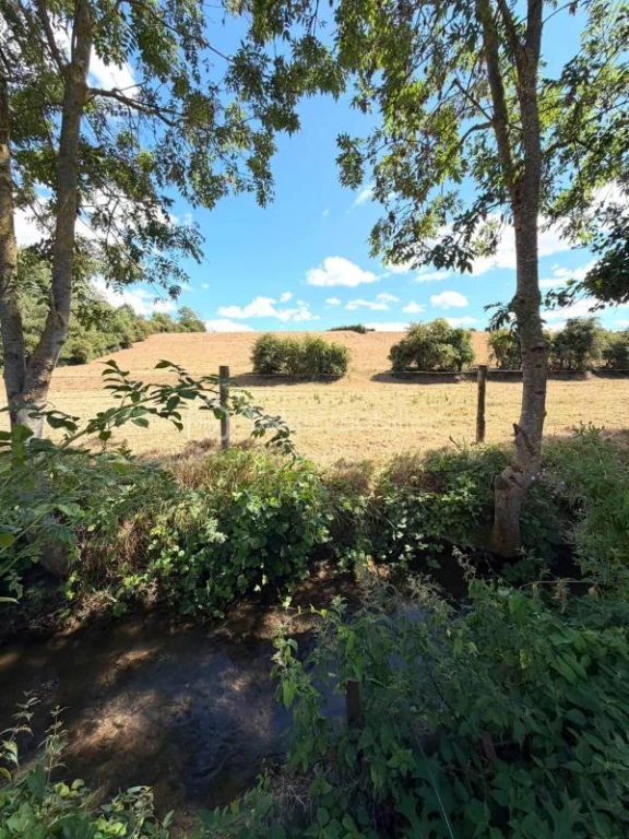 gF34p1OJmUHrtrVTqNuM0WrhXzBdqnnITkh8Ii6t.jpg