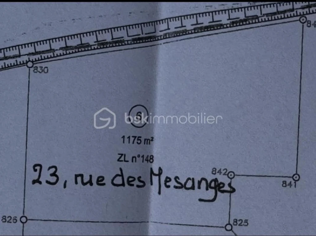 MlWW87kt9wn0c6MMFKzLe5IZQtfxJsaFmZyrJA68.jpg