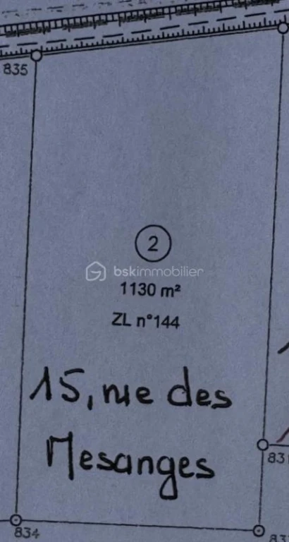 xfmrBBtxvbNNOyO7EObbl2srbRSyZirYpxFFpScZ.jpg