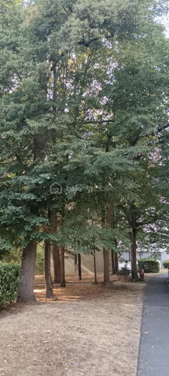 rGzw5CBEVPTstHroFQG3l8zfmMcPyMdpCWRTntKk.jpg