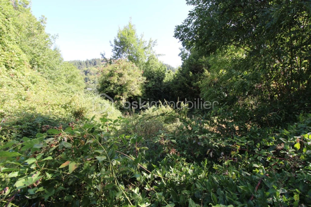 EAp9kKPuJM52uaaHw0ILqrQSwhApJT2Mxmjou5u8.jpg