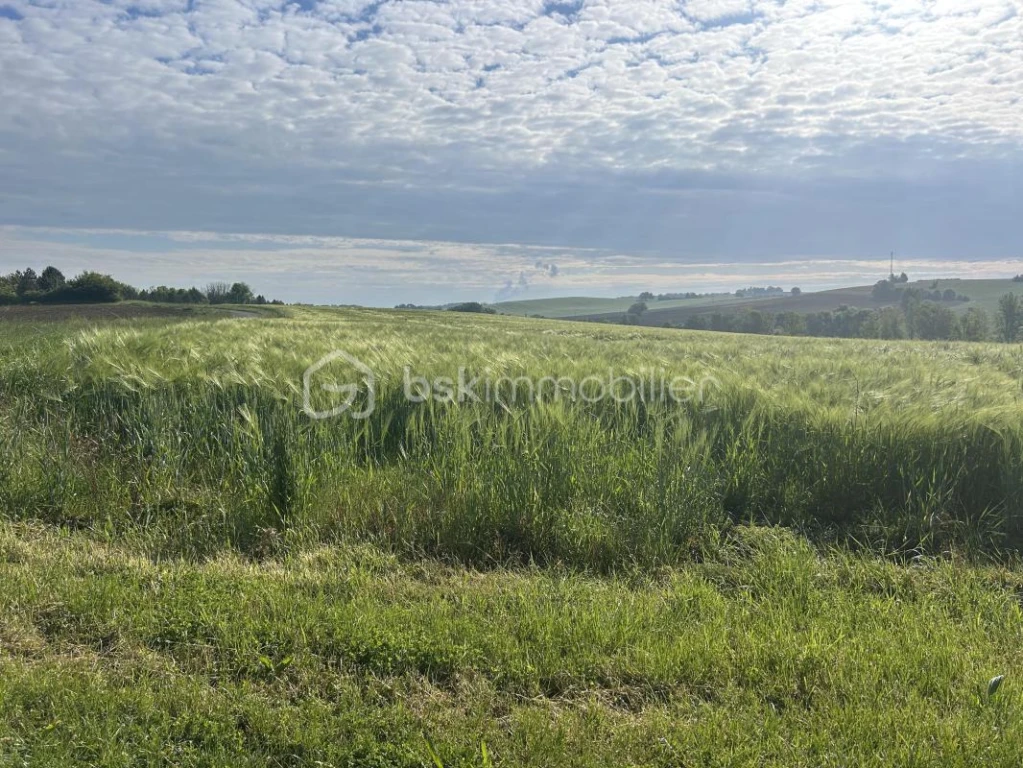 2pSUGIdVENzWm2i9HeC6AcFWNWS58nXjaFAsOELG.jpg