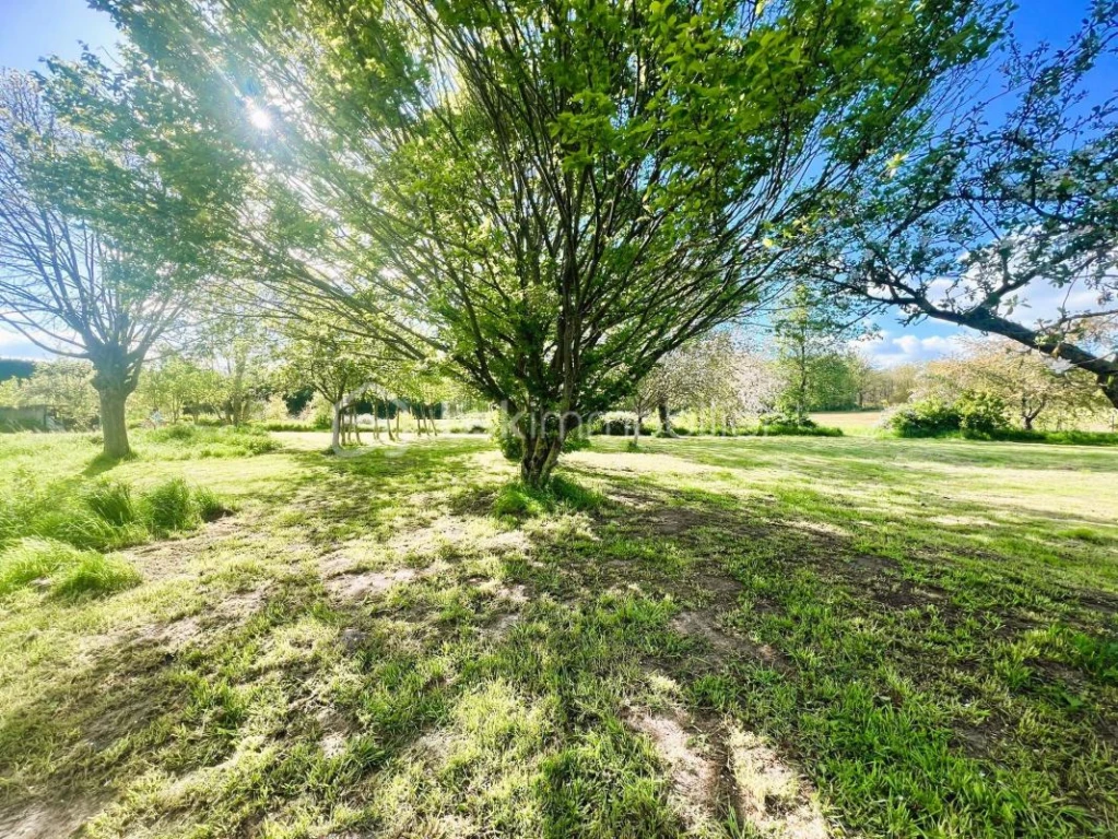 st5htagrZ9hfmLf4ZDuM5kF5zL2dWL4Xj5qOWhSn.jpg