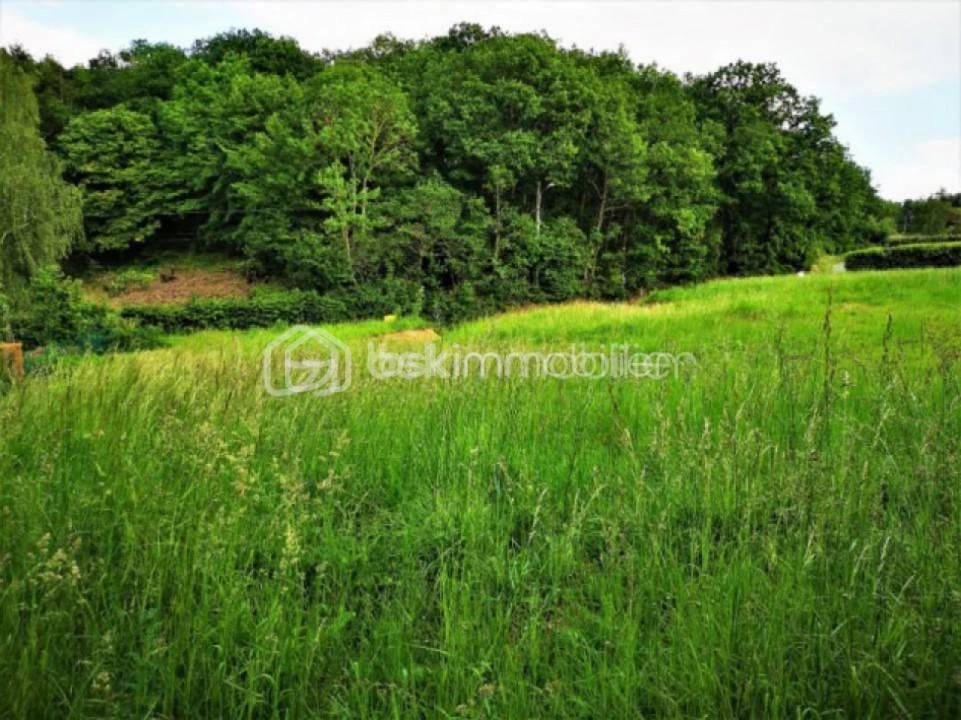rvD40SzDSS55Zh9ukFthTzQMSbMTVbme85EydQ38.jpg