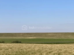OjPZEJTrMn4YFkdm8eOnTKiyXM4QA1zg0JzcCh91.jpg