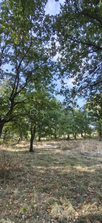 uIQe1I530G5olPGPm6ZXf84HKOLeimukvglznPfN.jpg